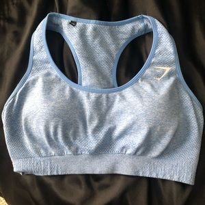 Vital Seamless Malibu Blue Sports Bra (Large)